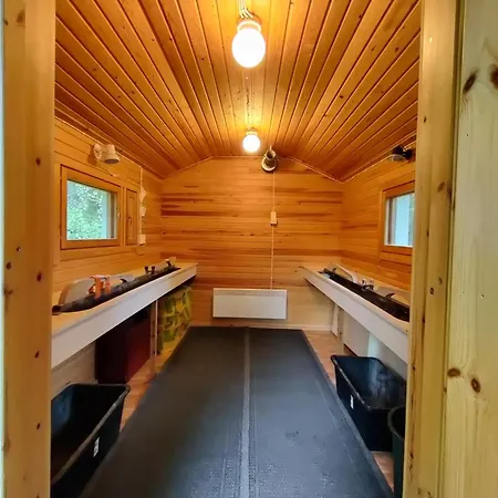 Apartment Oloslaavu 1 A