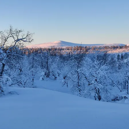 דירה Oloslaavu 1 A *