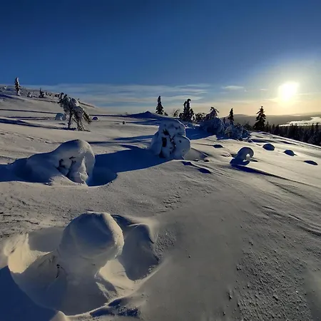 Lejlighed Oloslaavu 1 A